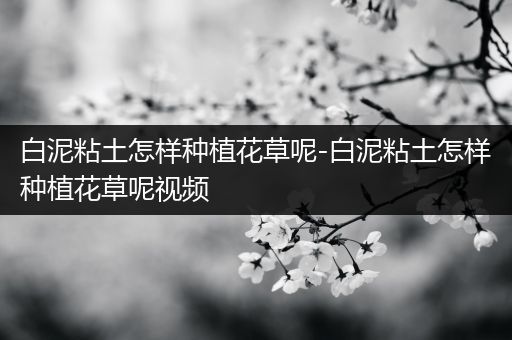 白泥粘土怎样种植花草呢-白泥粘土怎样种植花草呢视频