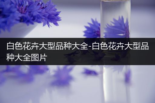白色花卉大型品种大全-白色花卉大型品种大全图片