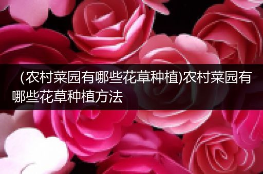 （农村菜园有哪些花草种植)农村菜园有哪些花草种植方法