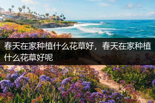 春天在家种植什么花草好，春天在家种植什么花草好呢