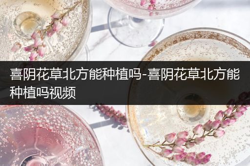 喜阴花草北方能种植吗-喜阴花草北方能种植吗视频