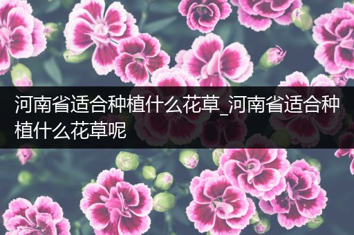 河南省适合种植什么花草_河南省适合种植什么花草呢
