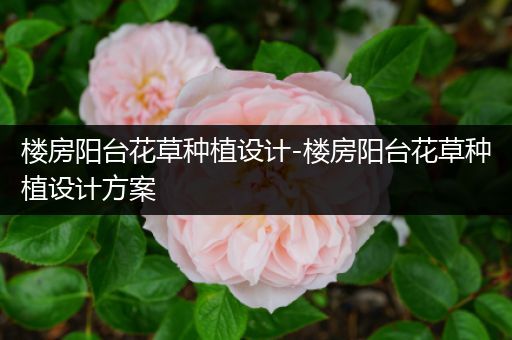 楼房阳台花草种植设计-楼房阳台花草种植设计方案