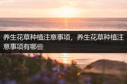 养生花草种植注意事项，养生花草种植注意事项有哪些