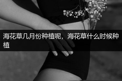 海花草几月份种植呢，海花草什么时候种植