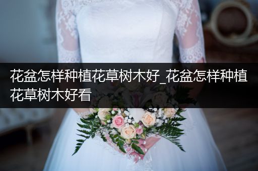 花盆怎样种植花草树木好_花盆怎样种植花草树木好看