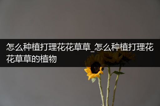 怎么种植打理花花草草_怎么种植打理花花草草的植物