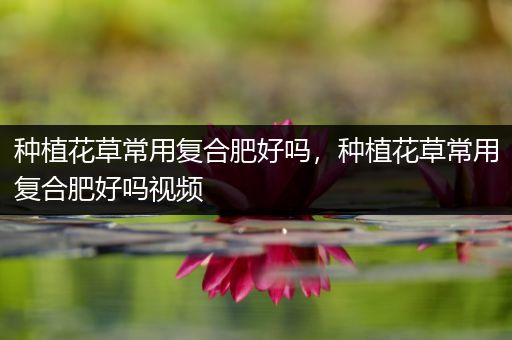 种植花草常用复合肥好吗，种植花草常用复合肥好吗视频