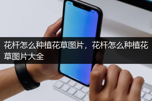 花杆怎么种植花草图片，花杆怎么种植花草图片大全