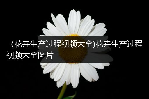 （花卉生产过程视频大全)花卉生产过程视频大全图片