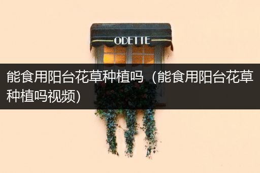 能食用阳台花草种植吗（能食用阳台花草种植吗视频）