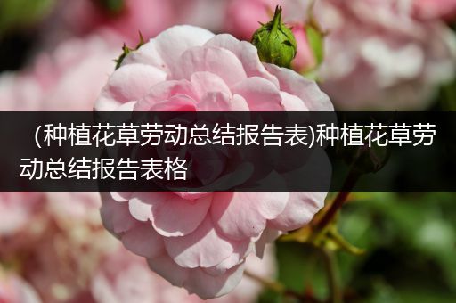 （种植花草劳动总结报告表)种植花草劳动总结报告表格