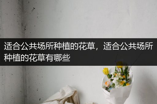 适合公共场所种植的花草，适合公共场所种植的花草有哪些