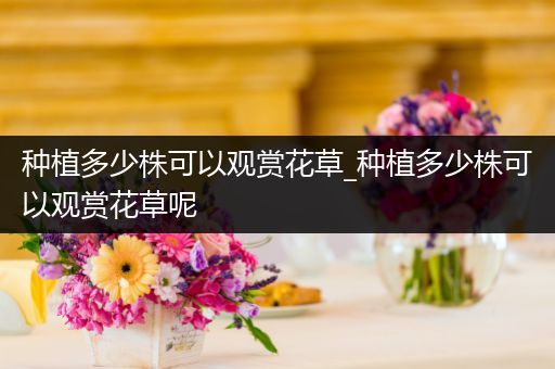 种植多少株可以观赏花草_种植多少株可以观赏花草呢