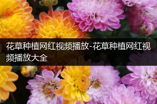 花草种植网红视频播放-花草种植网红视频播放大全