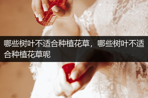哪些树叶不适合种植花草，哪些树叶不适合种植花草呢