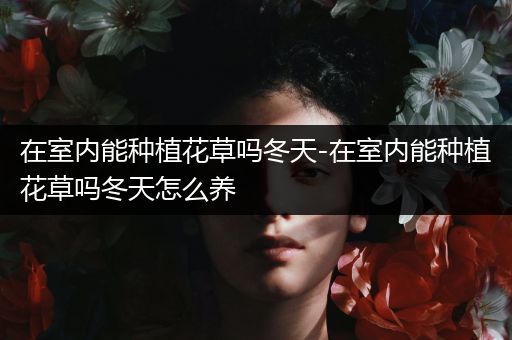 在室内能种植花草吗冬天-在室内能种植花草吗冬天怎么养