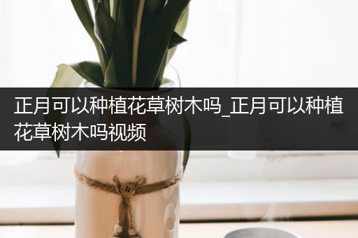 正月可以种植花草树木吗_正月可以种植花草树木吗视频