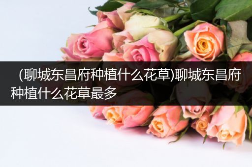 （聊城东昌府种植什么花草)聊城东昌府种植什么花草最多