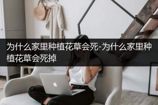 为什么家里种植花草会死-为什么家里种植花草会死掉