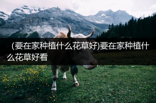（要在家种植什么花草好)要在家种植什么花草好看