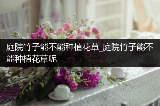 庭院竹子能不能种植花草_庭院竹子能不能种植花草呢
