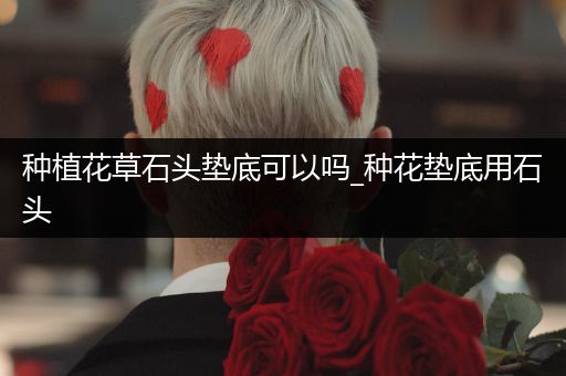 种植花草石头垫底可以吗_种花垫底用石头