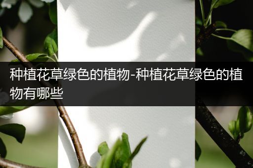 种植花草绿色的植物-种植花草绿色的植物有哪些