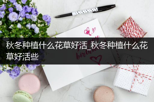 秋冬种植什么花草好活_秋冬种植什么花草好活些