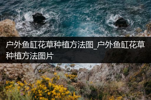 户外鱼缸花草种植方法图_户外鱼缸花草种植方法图片