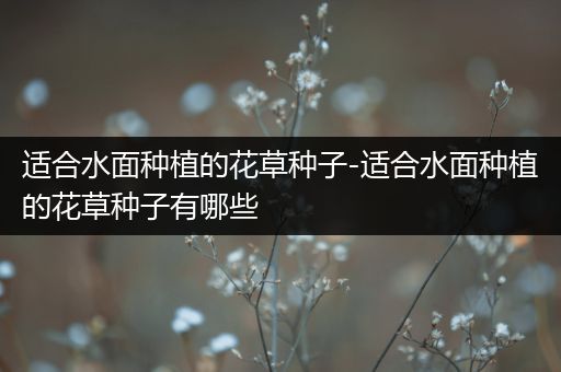 适合水面种植的花草种子-适合水面种植的花草种子有哪些
