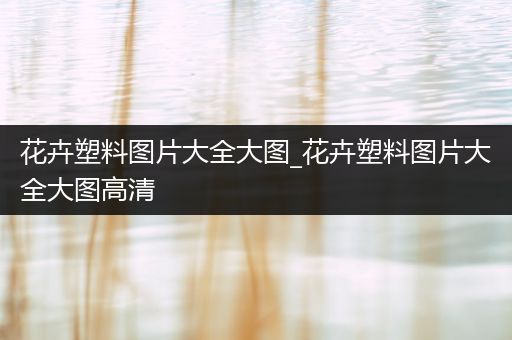 花卉塑料图片大全大图_花卉塑料图片大全大图高清