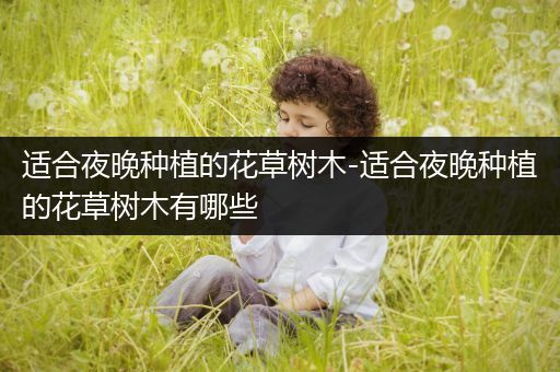 适合夜晚种植的花草树木-适合夜晚种植的花草树木有哪些