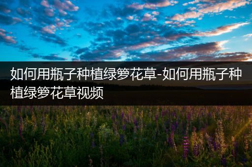 如何用瓶子种植绿箩花草-如何用瓶子种植绿箩花草视频