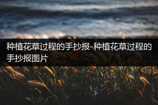 种植花草过程的手抄报-种植花草过程的手抄报图片