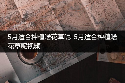 5月适合种植啥花草呢-5月适合种植啥花草呢视频