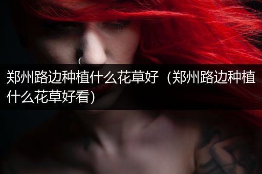 郑州路边种植什么花草好（郑州路边种植什么花草好看）