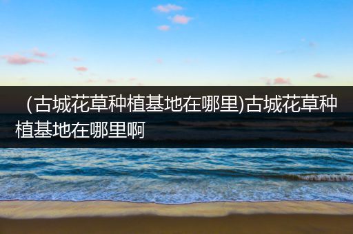 （古城花草种植基地在哪里)古城花草种植基地在哪里啊