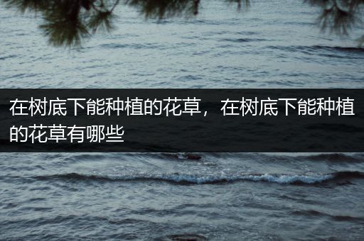 在树底下能种植的花草，在树底下能种植的花草有哪些