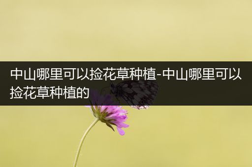 中山哪里可以捡花草种植-中山哪里可以捡花草种植的