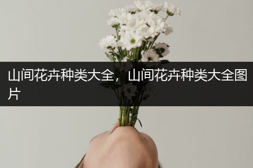 山间花卉种类大全，山间花卉种类大全图片