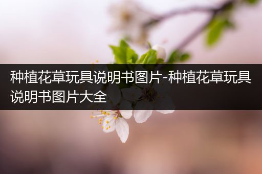 种植花草玩具说明书图片-种植花草玩具说明书图片大全
