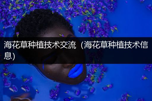 海花草种植技术交流（海花草种植技术信息）