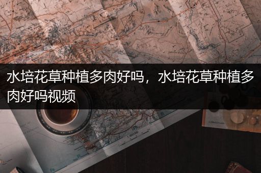 水培花草种植多肉好吗，水培花草种植多肉好吗视频