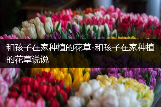 和孩子在家种植的花草-和孩子在家种植的花草说说