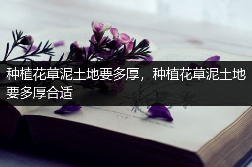 种植花草泥土地要多厚，种植花草泥土地要多厚合适