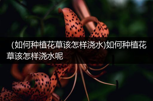 （如何种植花草该怎样浇水)如何种植花草该怎样浇水呢