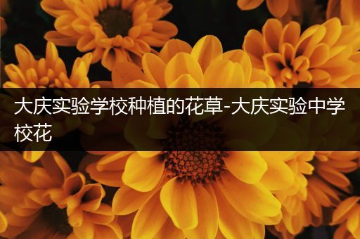 大庆实验学校种植的花草-大庆实验中学校花