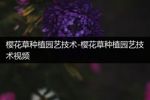 樱花草种植园艺技术-樱花草种植园艺技术视频