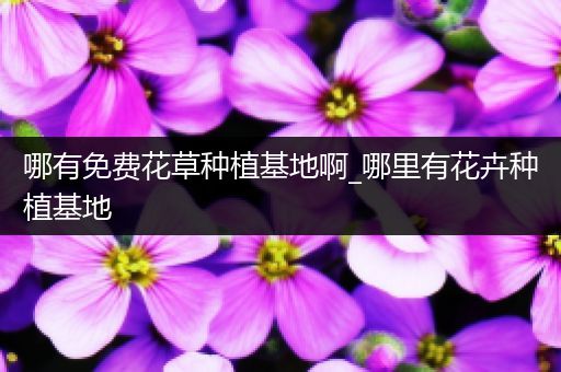 哪有免费花草种植基地啊_哪里有花卉种植基地